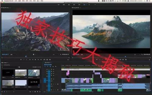 河北摄影师爆料视频最新,揭秘最新爆料视频背后的震撼故事